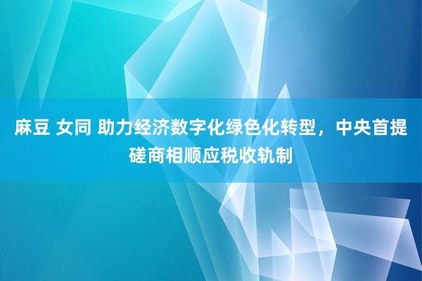 麻豆 女同 助力经济数字化绿色化转型，中央首提磋商相顺应税收轨制