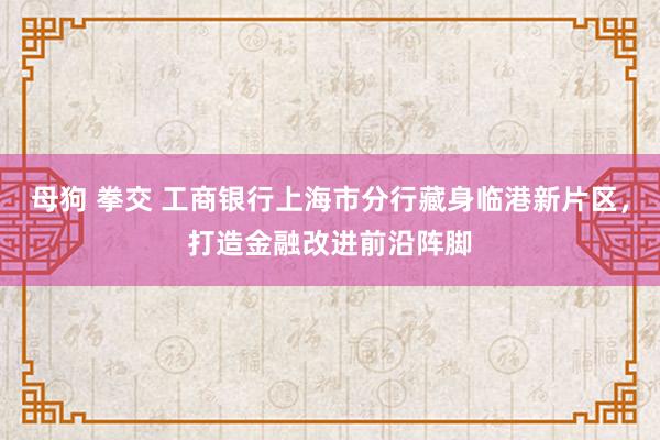 母狗 拳交 工商银行上海市分行藏身临港新片区，打造金融改进前沿阵脚