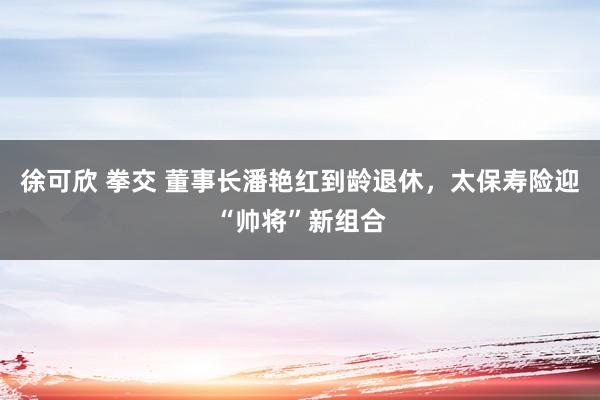 徐可欣 拳交 董事长潘艳红到龄退休，太保寿险迎“帅将”新组合