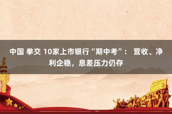 中国 拳交 10家上市银行“期中考”： 营收、净利企稳，息差压力仍存