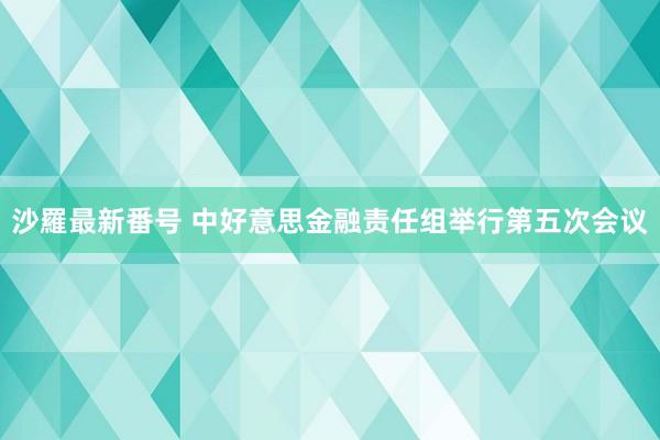 沙羅最新番号 中好意思金融责任组举行第五次会议