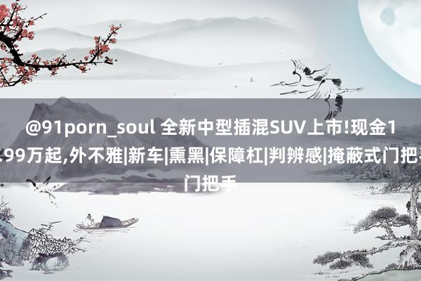 @91porn_soul 全新中型插混SUV上市!现金14.99万起，外不雅|新车|熏黑|保障杠|判辨感|掩蔽式门把手