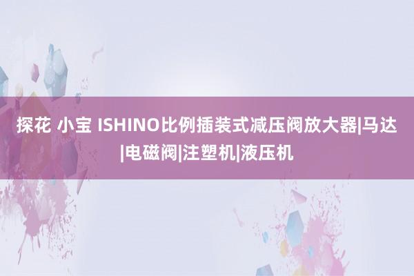 探花 小宝 ISHINO比例插装式减压阀放大器|马达|电磁阀|注塑机|液压机