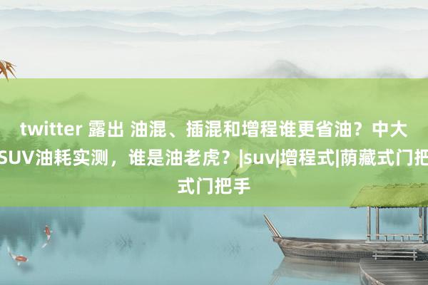 twitter 露出 油混、插混和增程谁更省油？中大型SUV油耗实测，谁是油老虎？|suv|增程式|荫藏式门把手