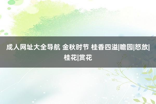 成人网址大全导航 金秋时节 桂香四溢|瞻园|怒放|桂花|赏花