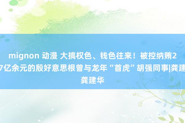 mignon 动漫 大搞权色、钱色往来！被控纳贿2.07亿余元的殷好意思根曾与龙年“首虎”胡强同事|龚建华