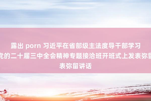 露出 porn 习近平在省部级主法度导干部学习贯彻党的二十届三中全会精神专题接洽班开班式上发表弥留讲话