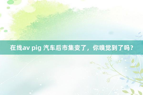 在线av pig 汽车后市集变了，你嗅觉到了吗？