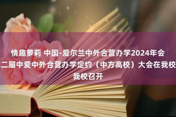 情趣萝莉 中国-爱尔兰中外合营办学2024年会暨第二届中爱中外合营办学定约（中方高校）大会在我校召开