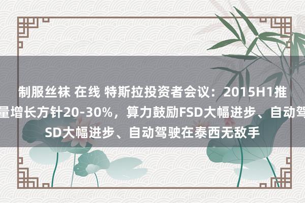 制服丝袜 在线 特斯拉投资者会议：2015H1推新车型、全年销量增长方针20-30%，算力鼓励FSD大幅进步、自动驾驶在泰西无敌手